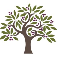 Olivo Financial Services, LLC logo - Similar company to Ep Caine & Associates Cpa, Llc