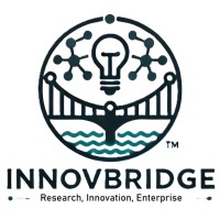 InnovBridge Asia logo - Similar company to Vp Technologies
