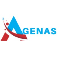 AFRICA GENERAL APPROVAL SERVICE (AGENAS) logo - Similar company to M. Construct And Service Sarl
