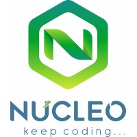 Nucleo logo - Similar company to Customsoft