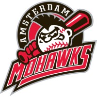 Amsterdam Mohawks logo - Similar company to Ev Analytics