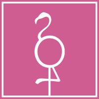 Flamingo for NGOs logo - Similar company to African Ngos Development Network
