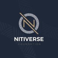NitiVerse Foundation logo - Similar company to Aarly