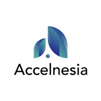 Accelnesia Consulting logo - Similar company to Pulih.Id