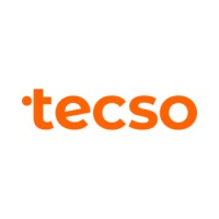tecso logo - Similar company to Tecso Solutions