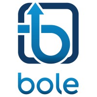 BOLE Mentoring, Coaching & Consulting logo - Similar company to Elite Mentoring Program Ghana