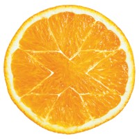 Vitamin X Advertising