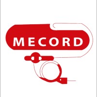 Mecord Systems & Services Pvt Ltd logo - Similar company to Wevolve Consumer Pvt Ltd