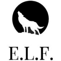 E.L.F. Financial Planning logo - Similar company to Goldfinity Financial Planning