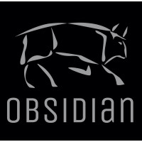 Obsidian logo - Similar company to Dev-Overflow