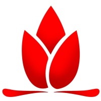 Coenergy Papua New Guinea logo - Similar company to Karnataka Regiment
