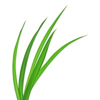 Heartland Lawn and Landscape logo - Similar company to Heartland Lawns
