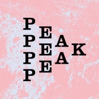 Peak Cymru logo - Similar company to The Willow Project