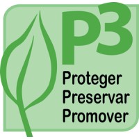 P3 Ambiental logo - Similar company to Eventfultech