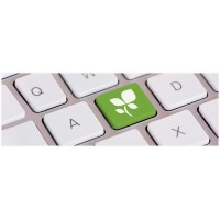 Intelligent Business Solutions (Intelbs)