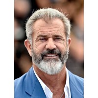 MEL GIBSON logo - Similar company to Icon Projects Ltd.
