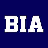 Boston Institute of Analytics - DHA Lahore logo - Similar company to Singularitypro Group