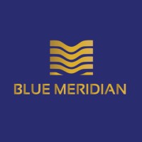 BLUE MERIDIAN logo - Similar company to Rm Trade