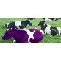 Purple Cow Real Estate LLC