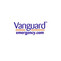 Vanguard Emergency Management Consulting Inc. logo - Similar company to Vanguard Inspection Services