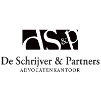 De Schrijver en Partners logo - Similar company to Vives Continue