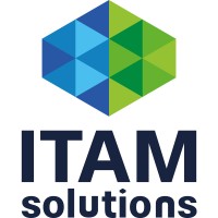 ITAM solutions logo - Similar company to Ict Tribe Almere