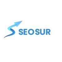 Seosur logo - Similar company to C2Games