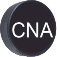 Connection Network Agencies logo - Similar company to The Leaf Community