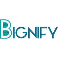Bignify.com logo - Similar company to Mix Content Lab