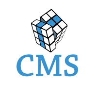 Capital Market Solutions LLC logo - Similar company to Incalus