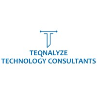 Teqnalyze Technology Consultants logo - Similar company to Tiny Giants