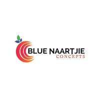 Blue Naartjie Concepts logo - Similar company to Icrew Services