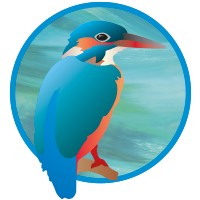 Islandbridge Brand Development logo - Similar company to Bryce Oils Ltd