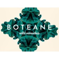 BOTEANE logo - Similar company to Idstudios Ltd