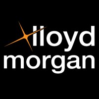 Lloyd Morgan China logo - Similar company to Fmc Consulting