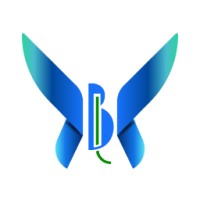 Blueleaf Innovations logo - Similar company to Developers Hive