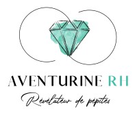 Aventurine RH logo - Similar company to Alpha Conseil