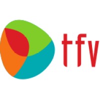 TFV logo - Similar company to Decisionsystems