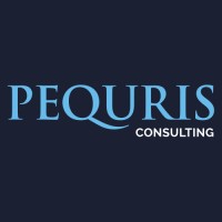 PEQURIS Consulting logo - Similar company to Wmll Inc.
