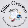 Ellite Overseas logo - Similar company to Brahmani Creation