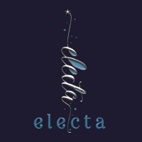 Electa Studios logo - Similar company to Dolphin Studios