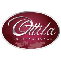 Ottila International logo - Similar company to Presecurityssoft