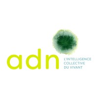 adn-intelligencecollective.com logo - Similar company to Lidts, L'Institut Des Transformations Stratégiques