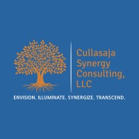 Cullasaja Synergy Consulting, LLC logo - Similar company to Premium Security Solutions, Llc
