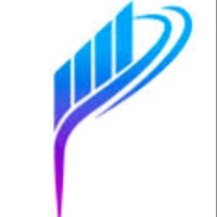 Param Investopedia Private Limited logo - Similar company to Bwize | Financial Advisors