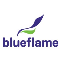 Blueflame logo - Similar company to Blueflame Technology Solutions