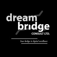 Dream Bridge Consult logo - Similar company to Edurizon