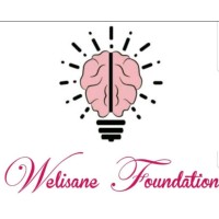 Welisane Foundation logo - Similar company to Shems For Lighting