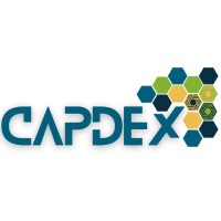 Capdex logo - Similar company to Data Isolutions