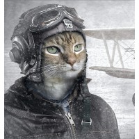 the CoPilot Cat posse logo - Similar company to Pawtree